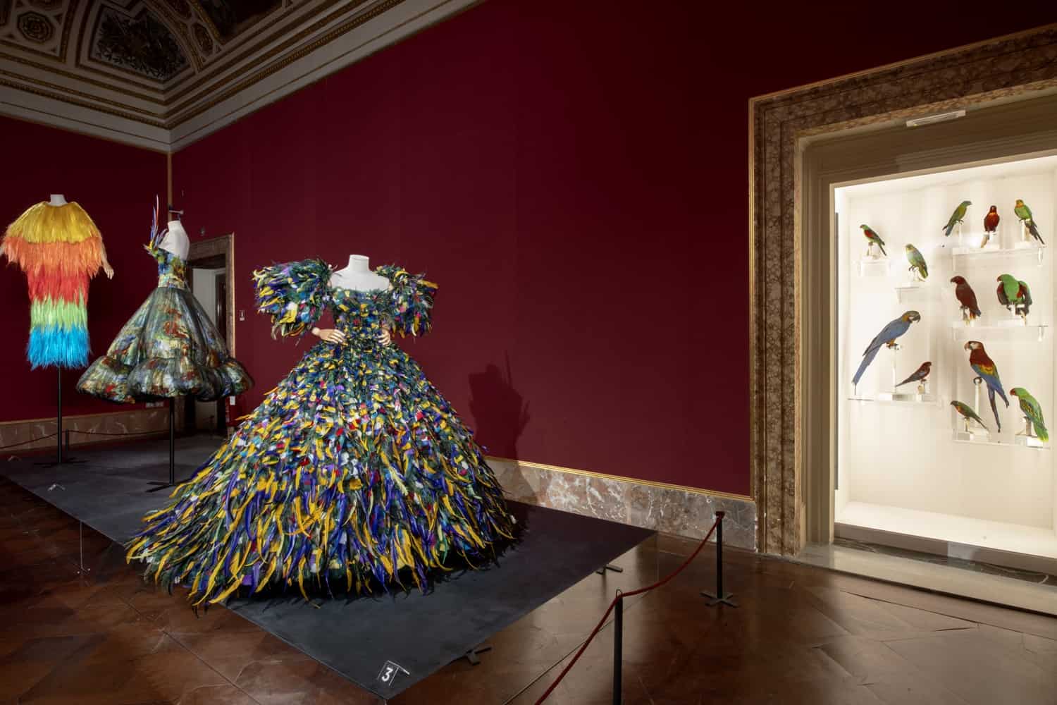 Animalia Fashion : l'exposition sauvage.